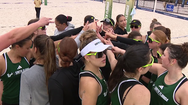 el equipo de voleibol playa de usf se prepara intensamente para su temporada inaugural, listo para competir y destacar en el torneo.