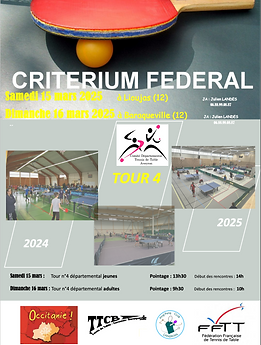 descubre la emoción de la 4ª ronda del critérium pn de tenis de mesa en cerizay. resultados, participantes y momentos destacados del torneo.
