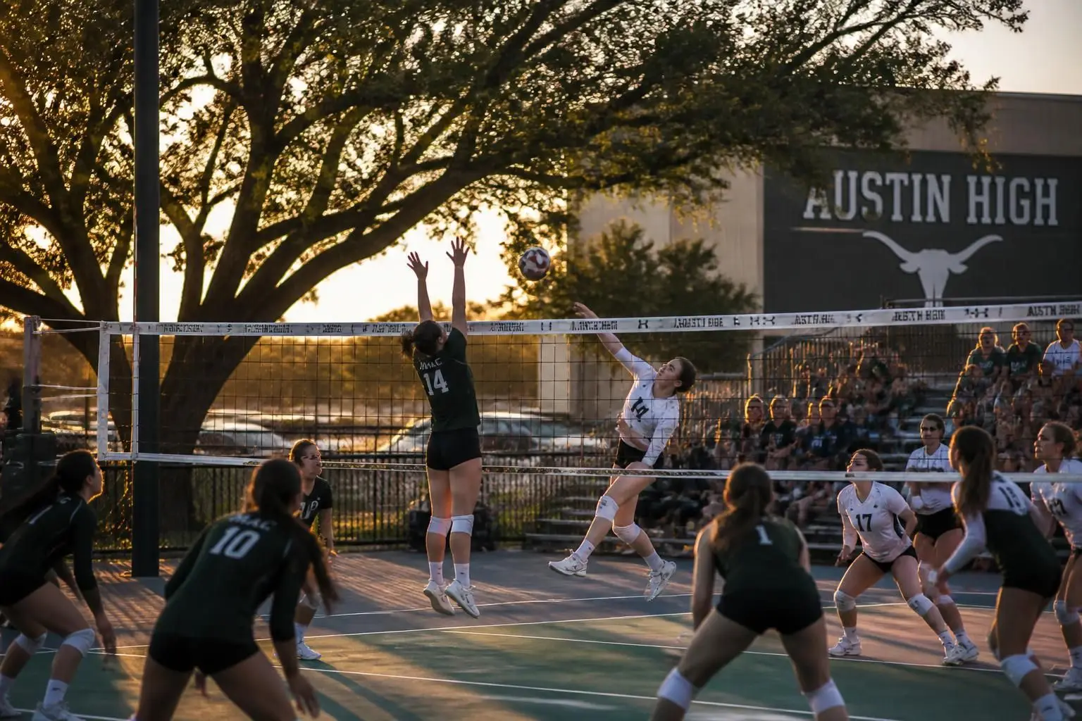 el vóleibol en secundaria en austin enfrenta nuevos retos con la clasificación 6a: equipos compiten intensamente en busca del éxito en la temporada.